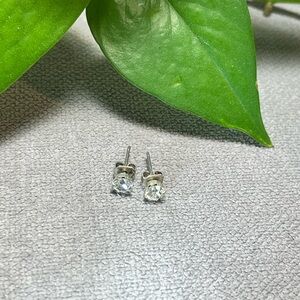 Elegant Silver Stud Earrings